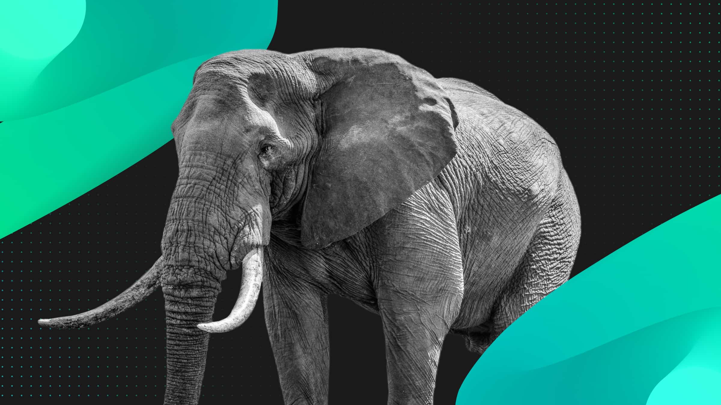 How to Minimise the Impact of Database Latency